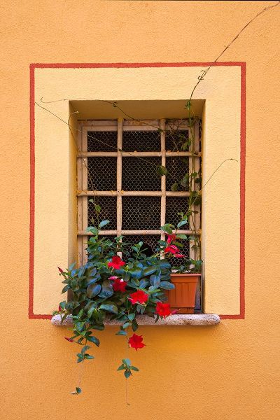 Eggers, Julie 아티스트의 Italy-Tuscany-Montepulciano Potted plant on a windowsill in the hill town of Montepulciano작품입니다.